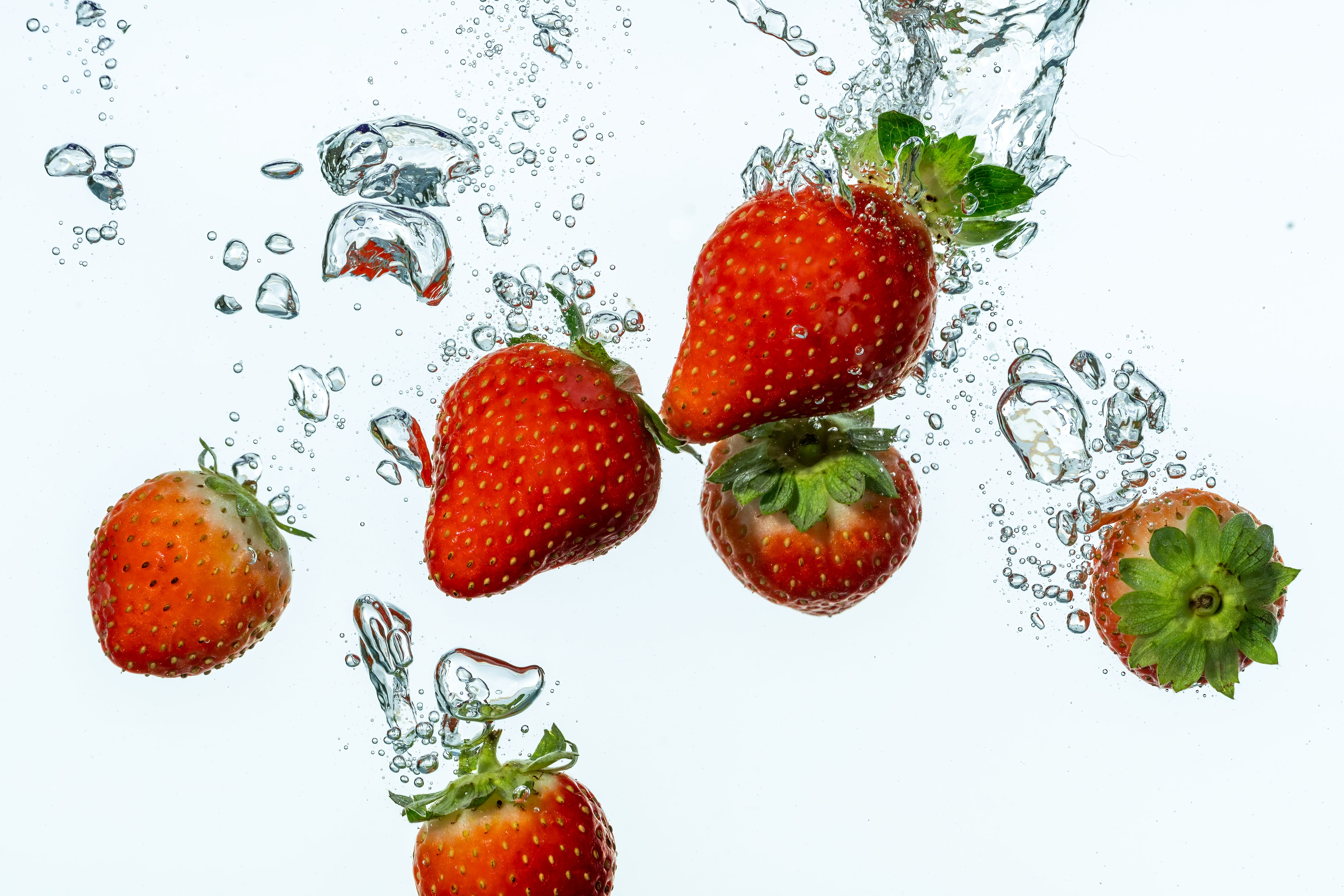 Food and Beverage Industry