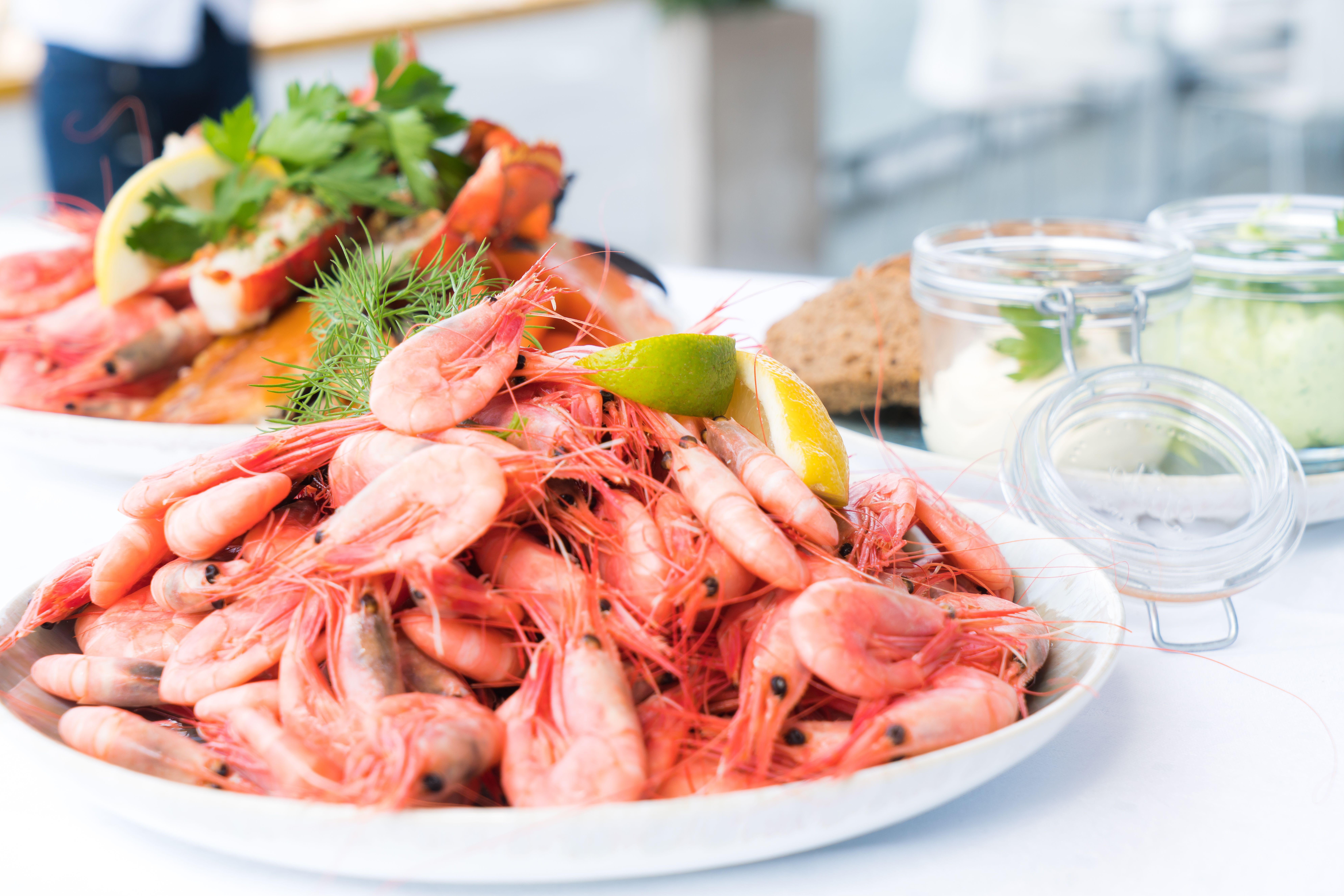 Shrimp Farming