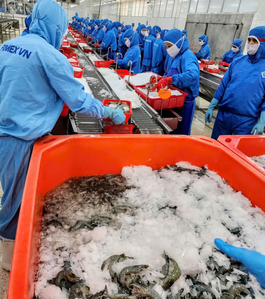Shrimp Factories Processing UV System